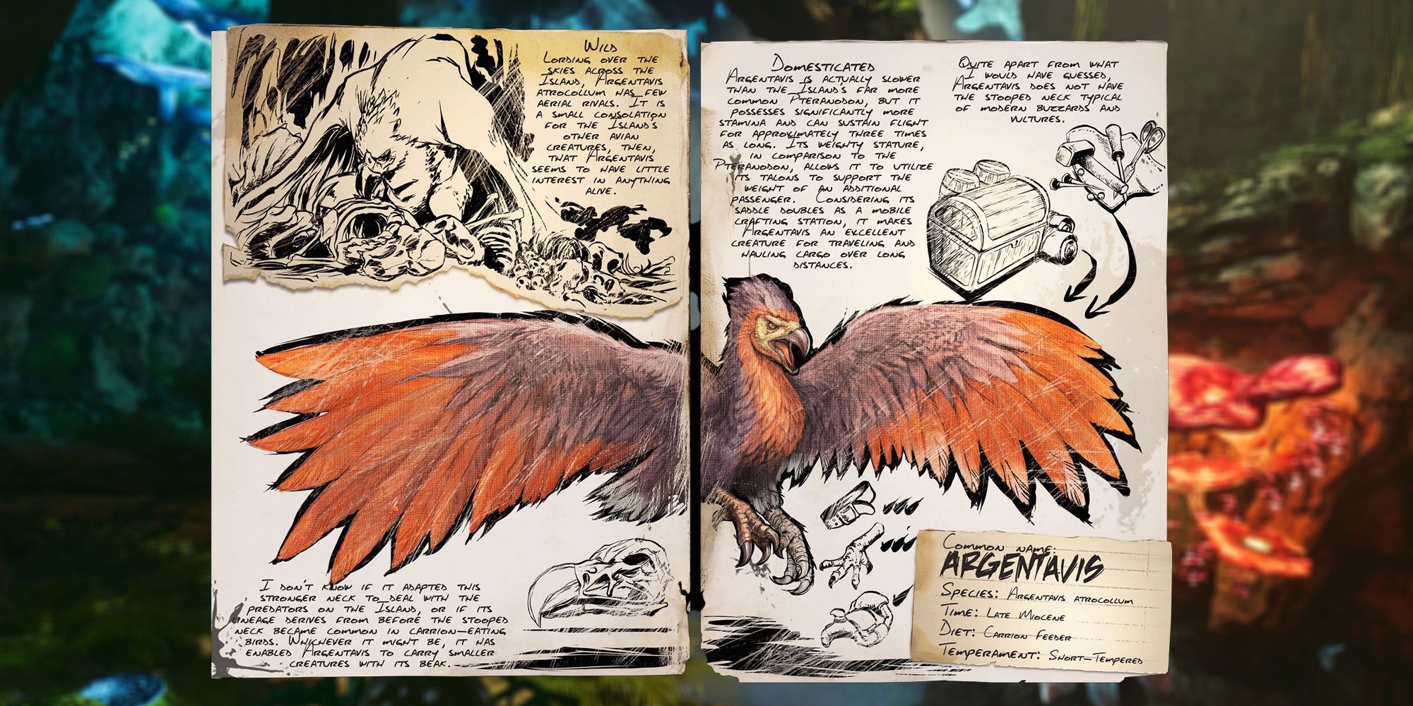 Argentavis bird detailed in an encyclopedia entry. 