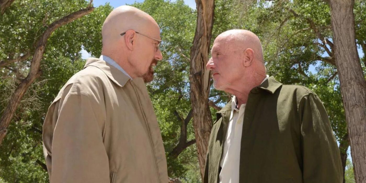 Bryan Cranston as Walter White and Jonathan Banks as Mike Ehrmantraut stand-off in Breaking Bad.