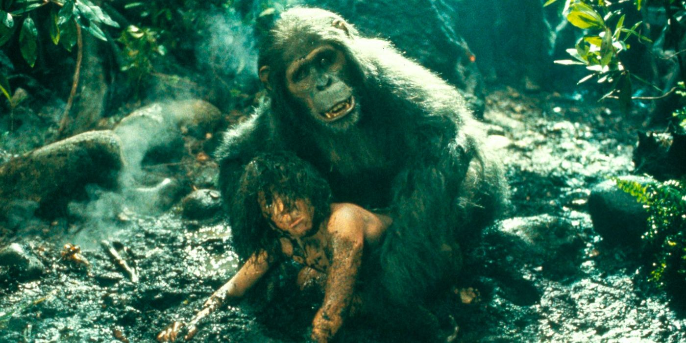 Child Tarzan Being Protected By His Ape Mom in Greystroke