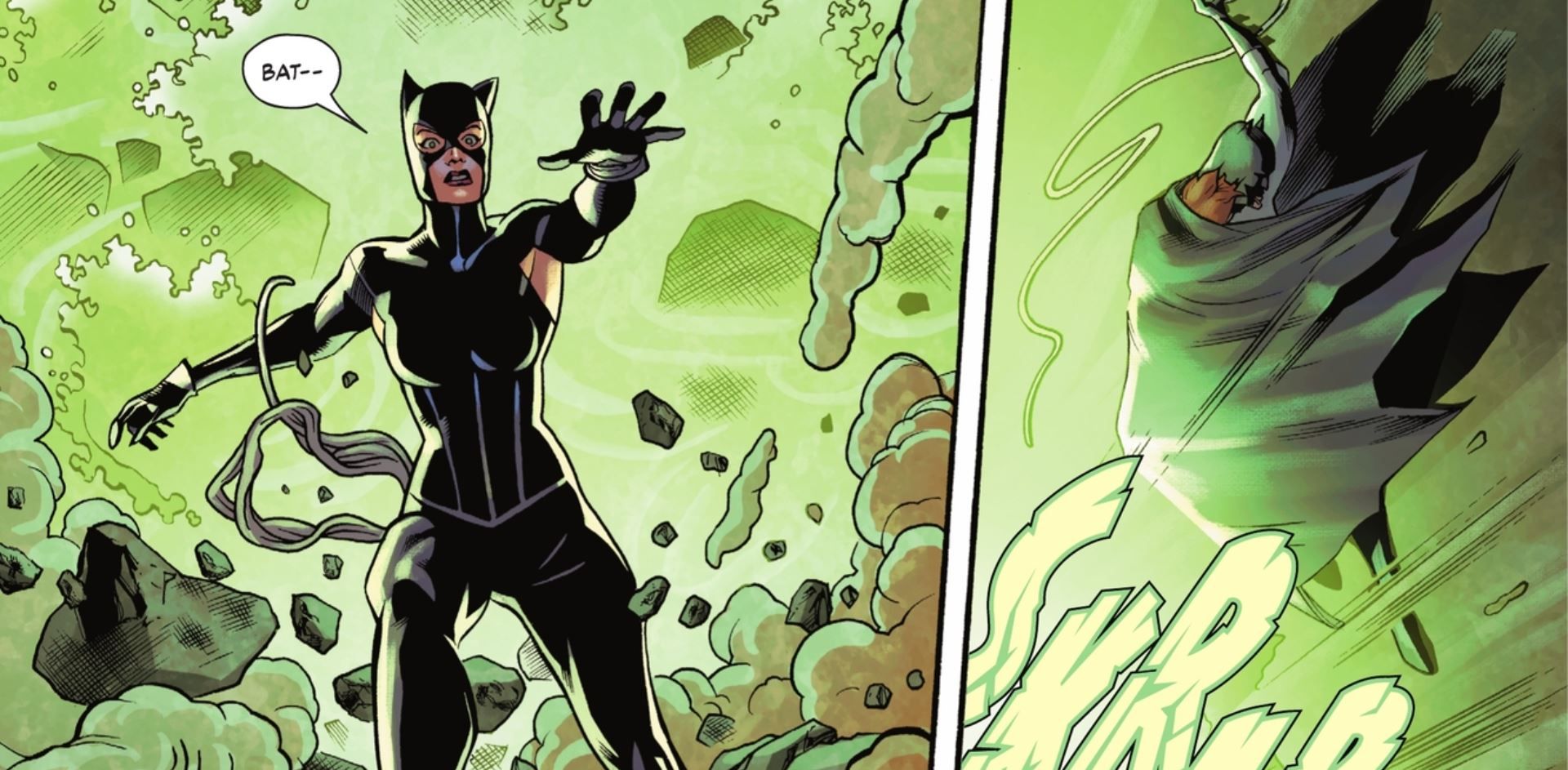 Catwoman Falls into Lazarus Pit DC