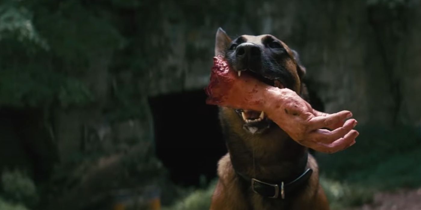 Dogmeat carrying a severed human hand in the Fallout TV show