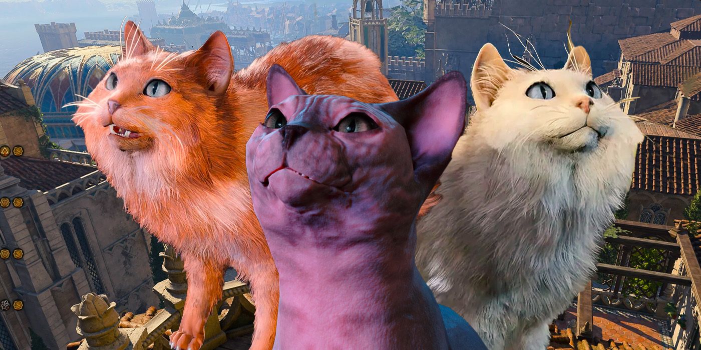 A ginger, a white and a hairless cat all gaze upwards in front of the city of Baldur's Gate 3