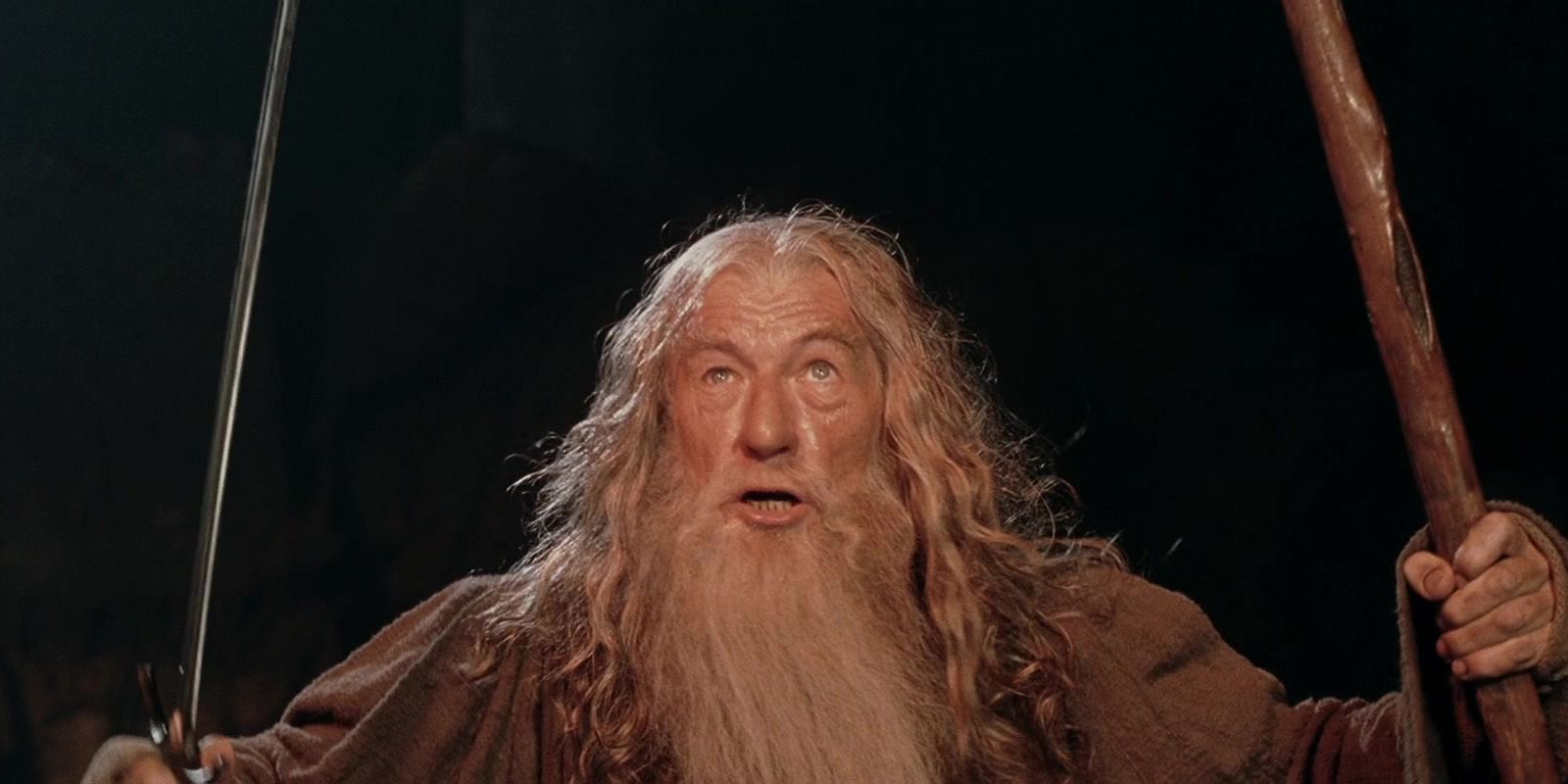 Gandalf holding his sword and staff, fighting the Balrog in Lord of the Rings: The Two Towers, and shouting "You shall not pass!"