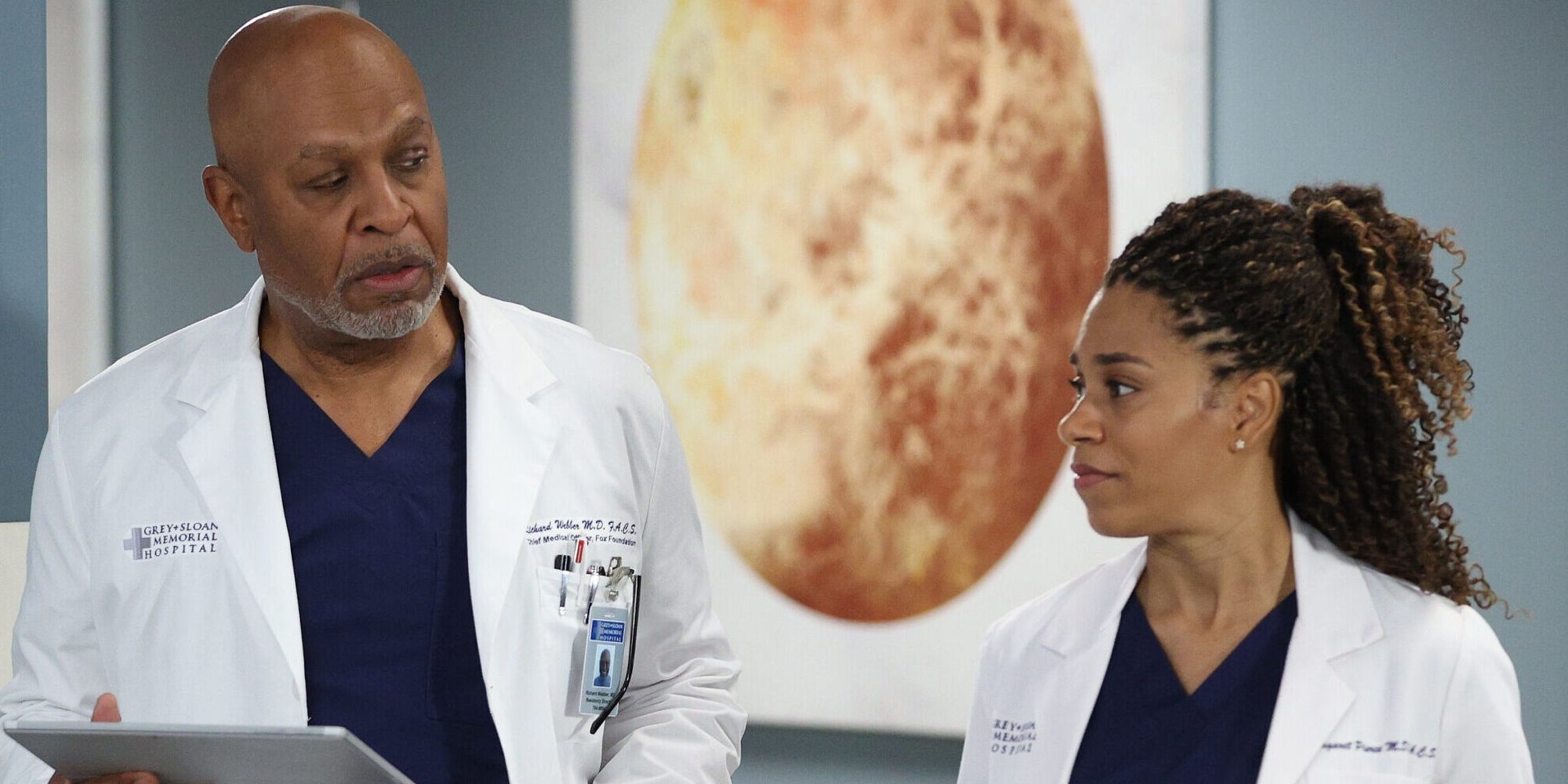 12 Most Painful Greys Anatomy Character Exits, Ranked