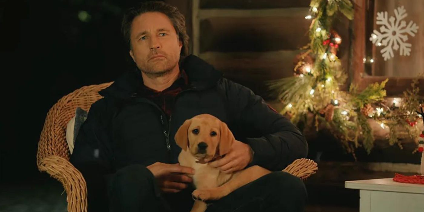 Jack senta-se com um cachorrinho de Natal chamado Pony em Virgin River