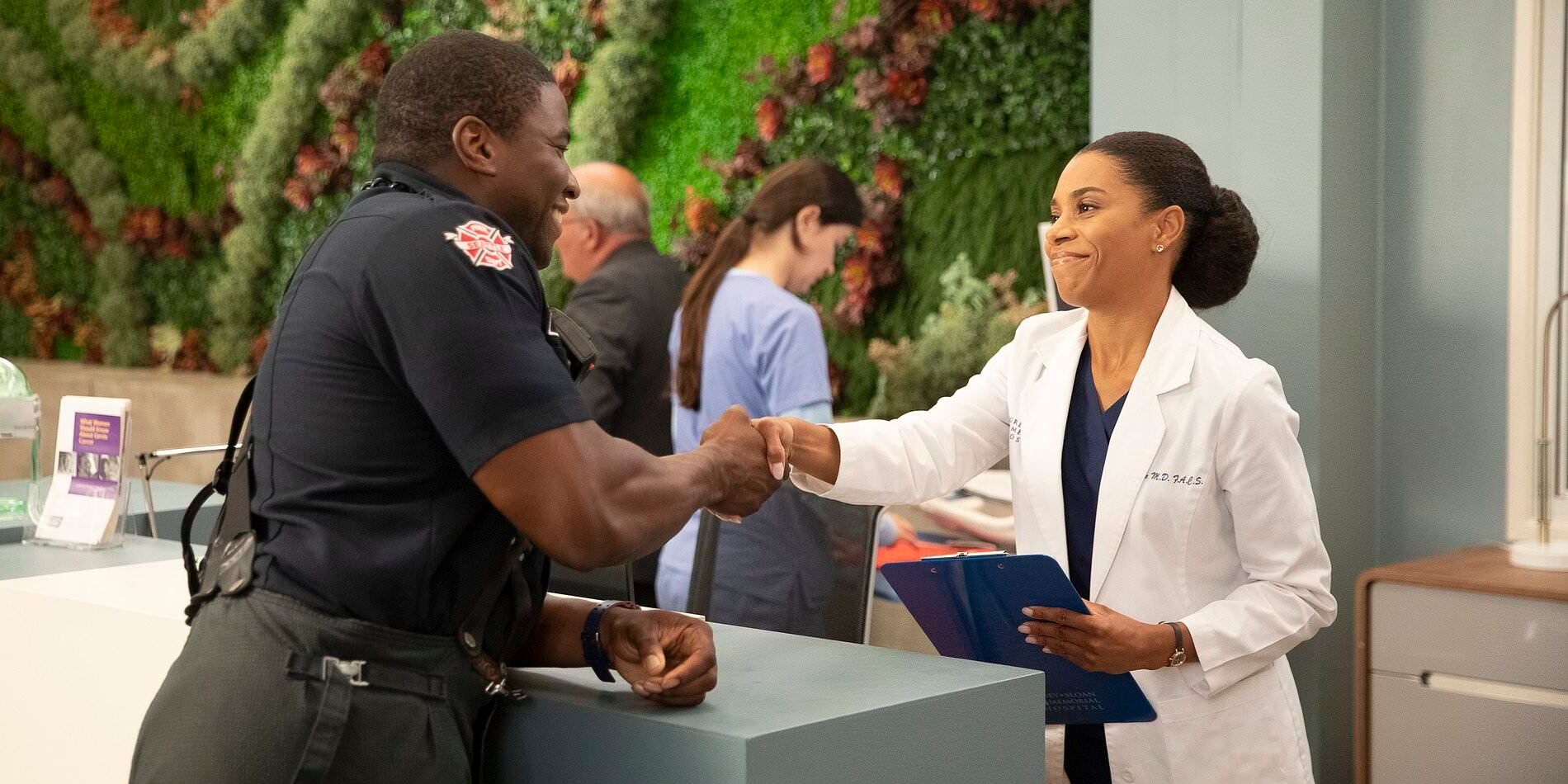 Dean & Maggie Shaking Hands In Station 19 Grey's Anatomy Crossover.jpg