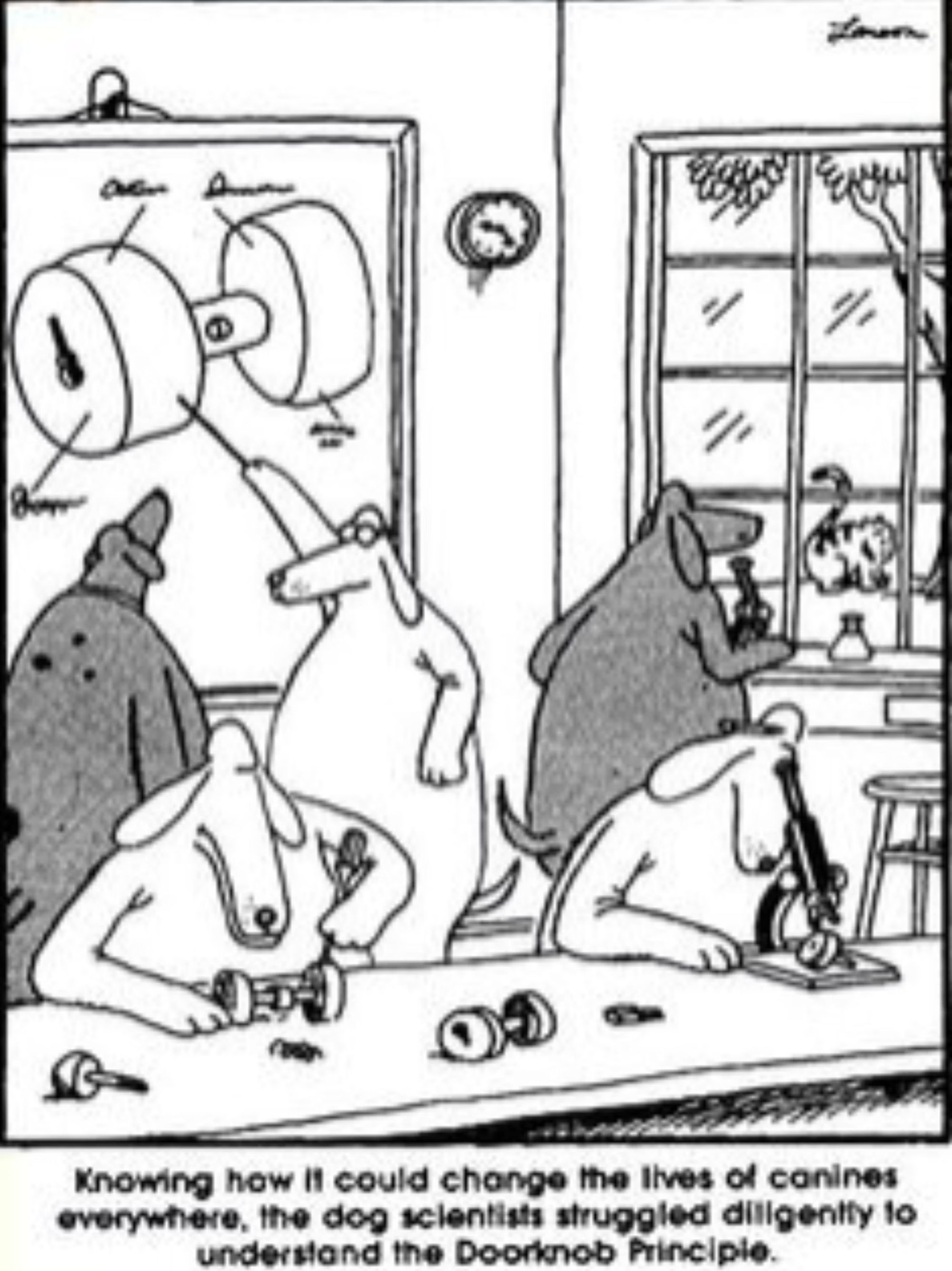 Far Side: Dog scientists struggle to figure out 