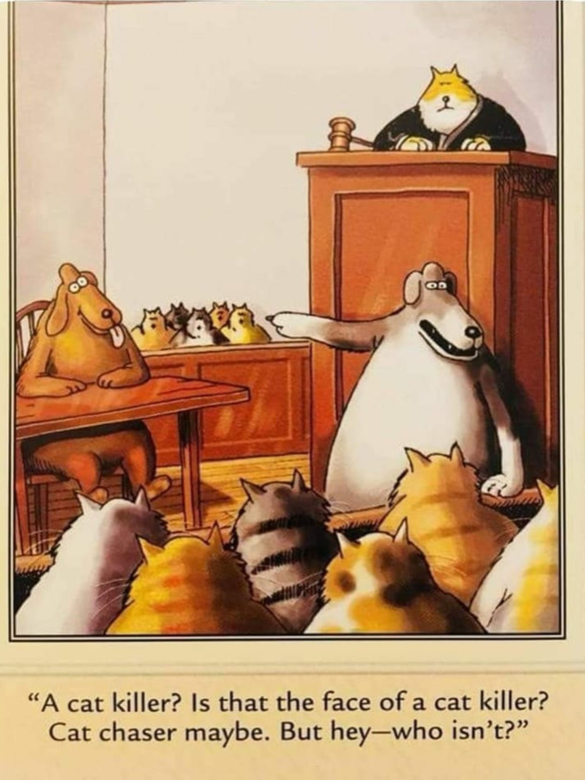 Far Side: a dog on trial before a Jury of cats