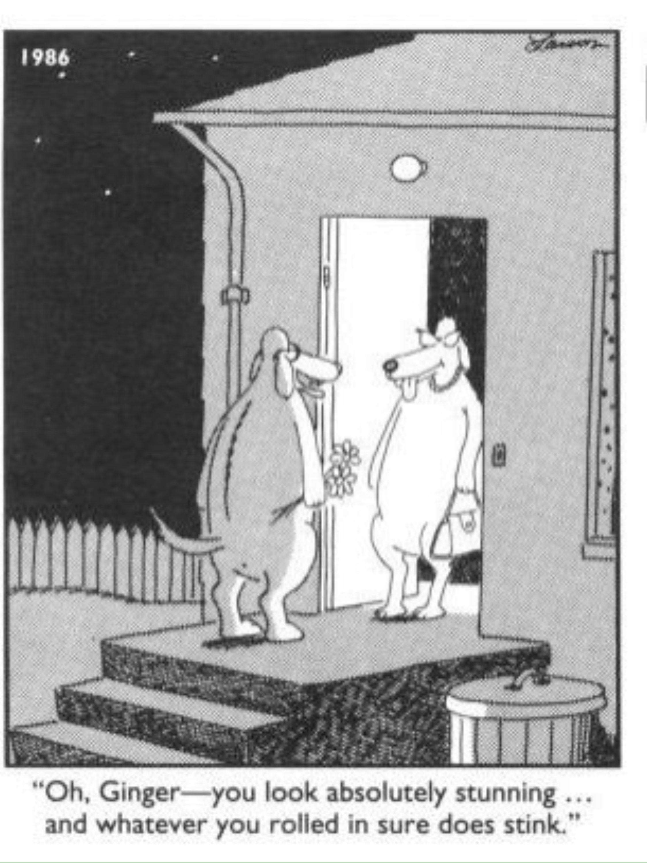 Far Side: A dog picks up his date for the night, Ginger.
