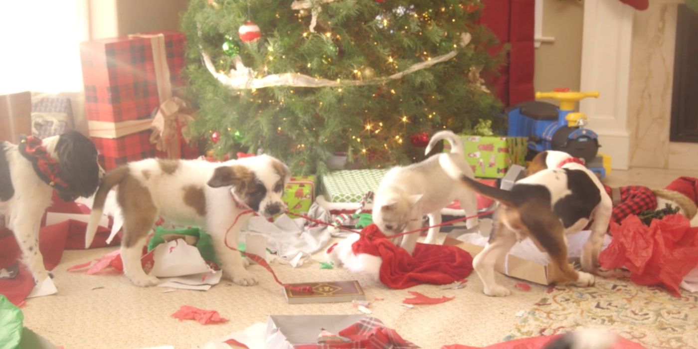 All 18 TV References In Hulu's Puppies Crash Christmas