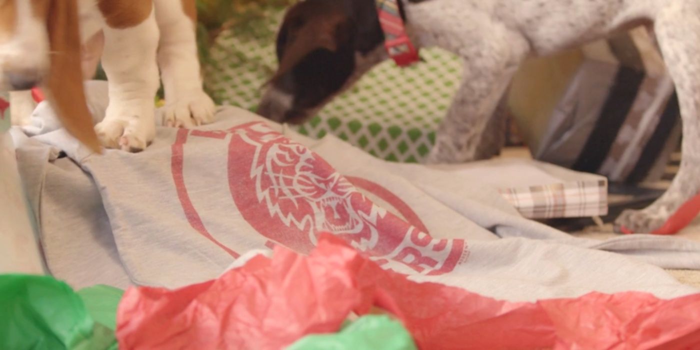 A Bayside Tigers sweatshirt in Puppies Crash Christmas