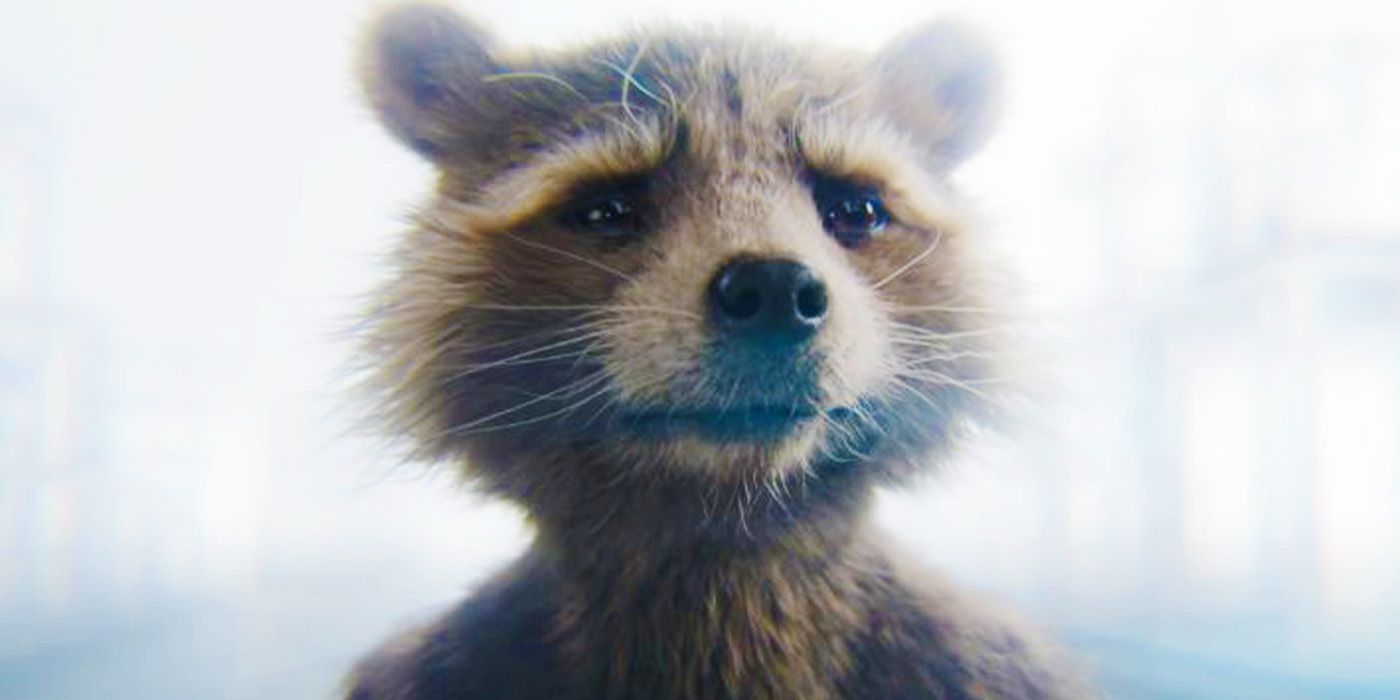 Rocket in the afterlife in Guardians of the Galaxy 3