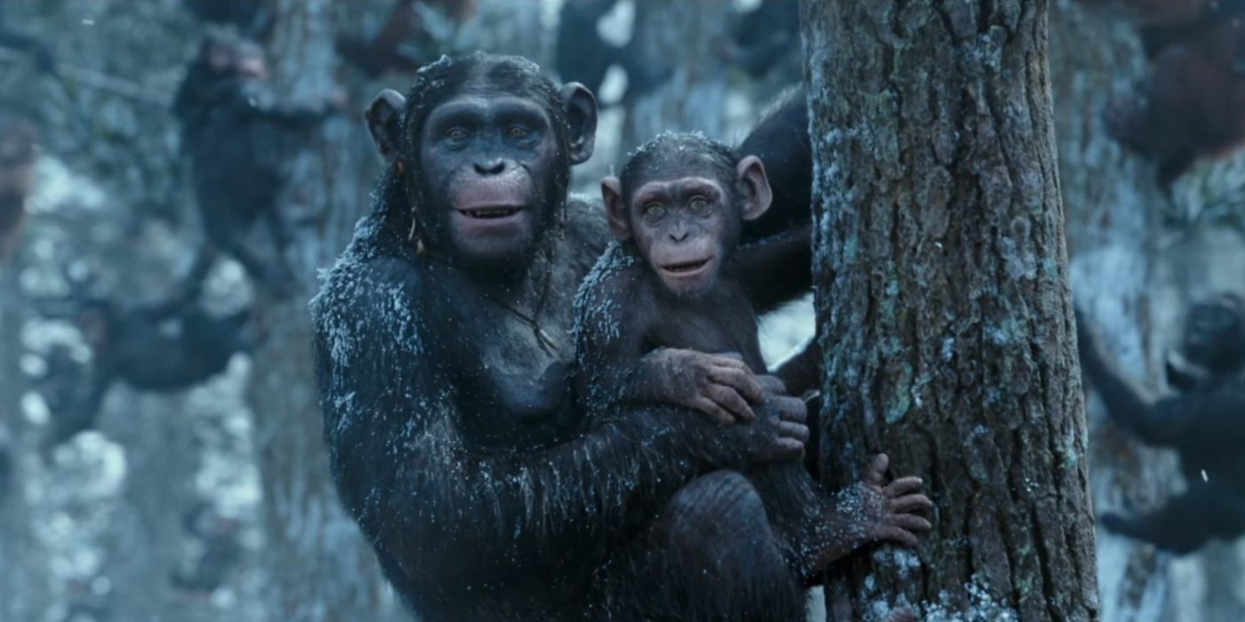 Cornelius and Lake in War For the Planet of the Apes