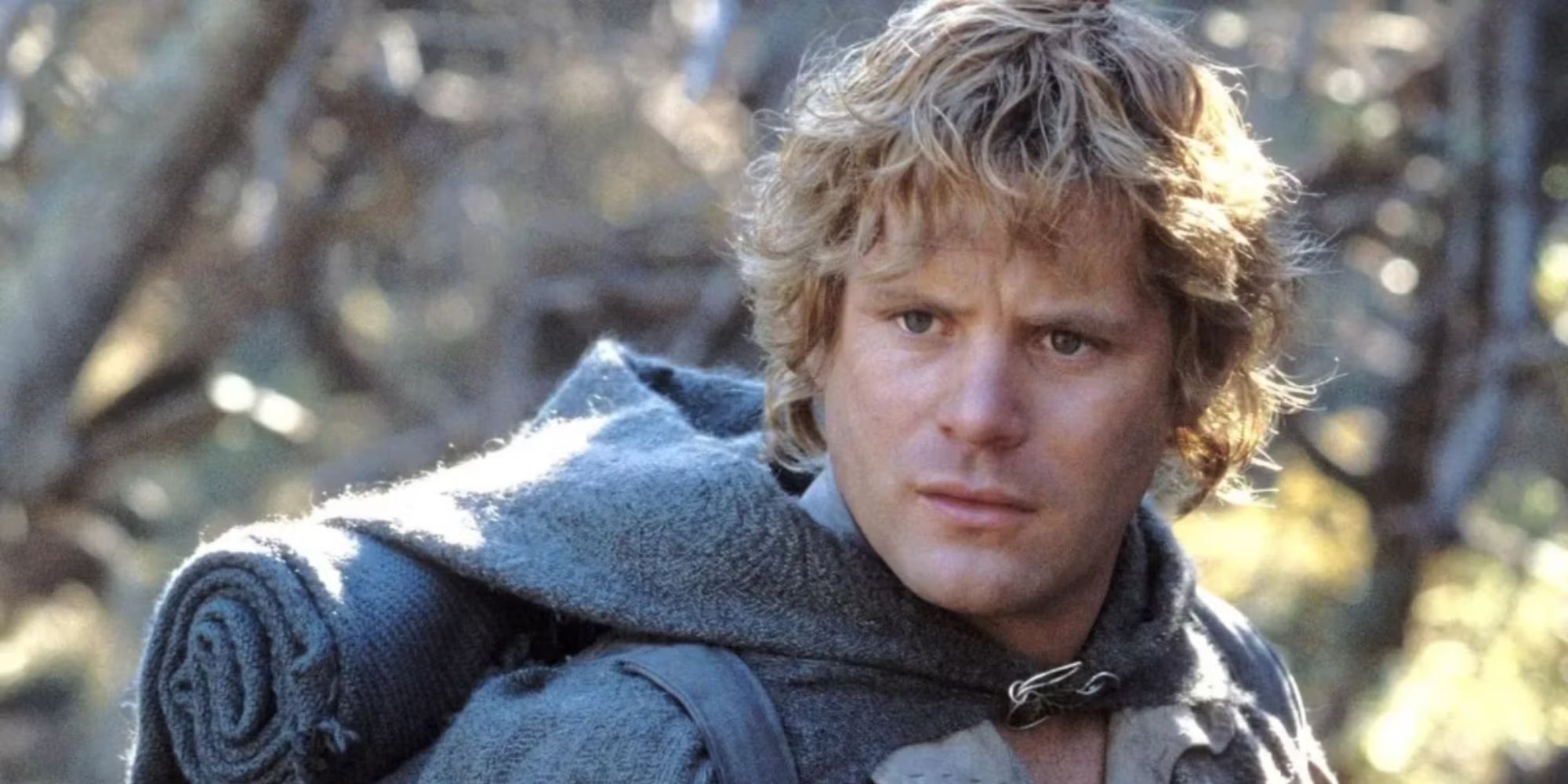 Sean Astin as Samwise Gamgee looking confused in The Lord of the Rings: The Fellowship of the Ring.
