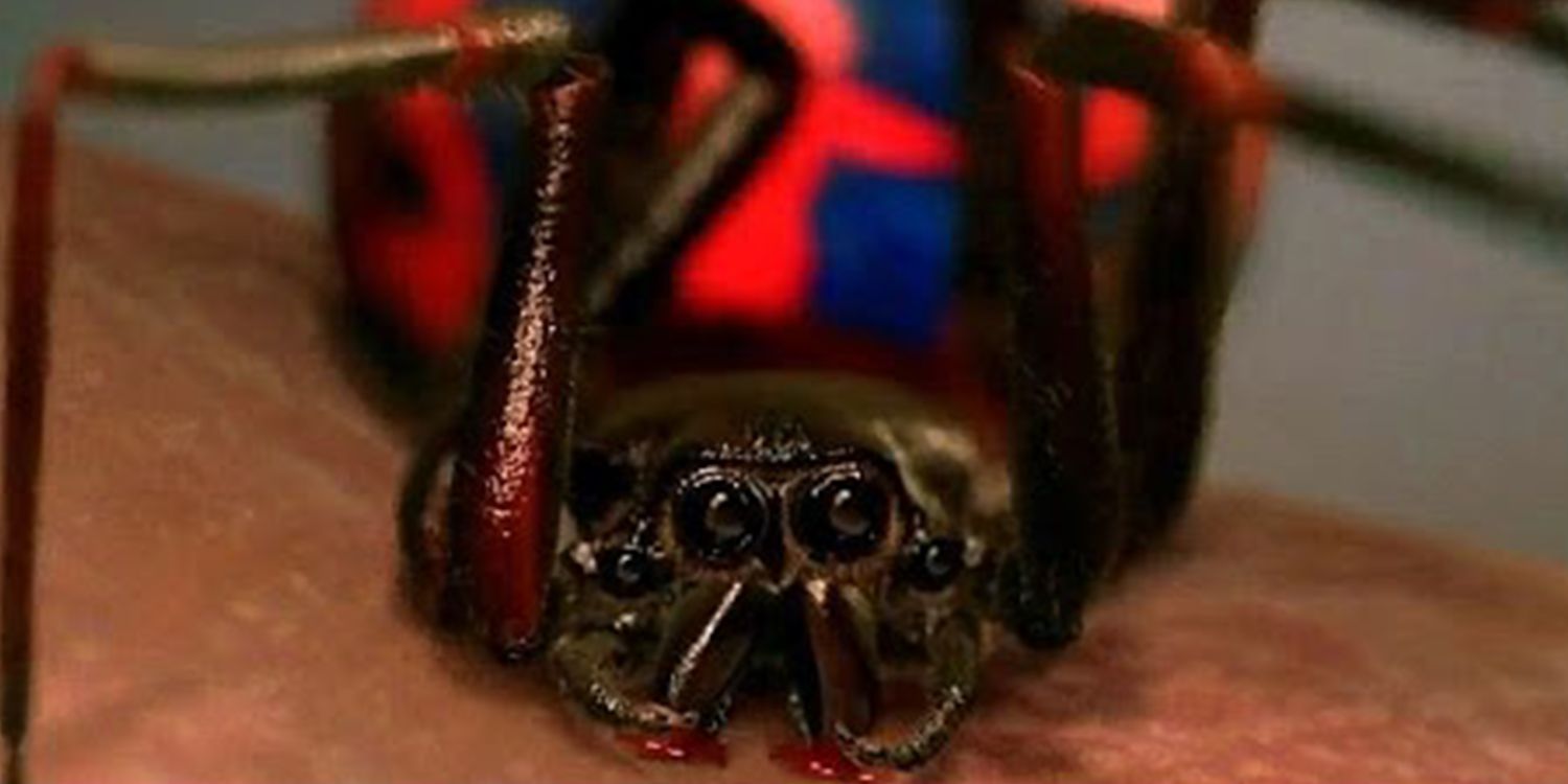 Closeup of the painted spider that bites Peter Parker (Tobey Maguire) in Spider-Man
