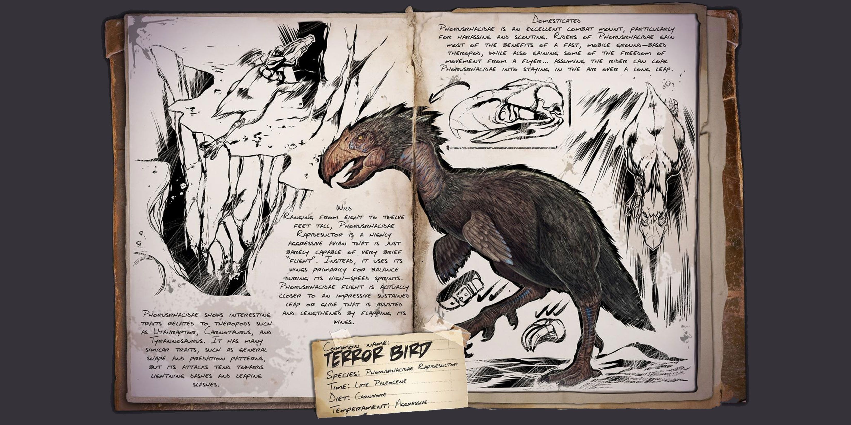 Los 15 dinosaurios voladores más geniales de Ark: Survival Ascended, clasificados