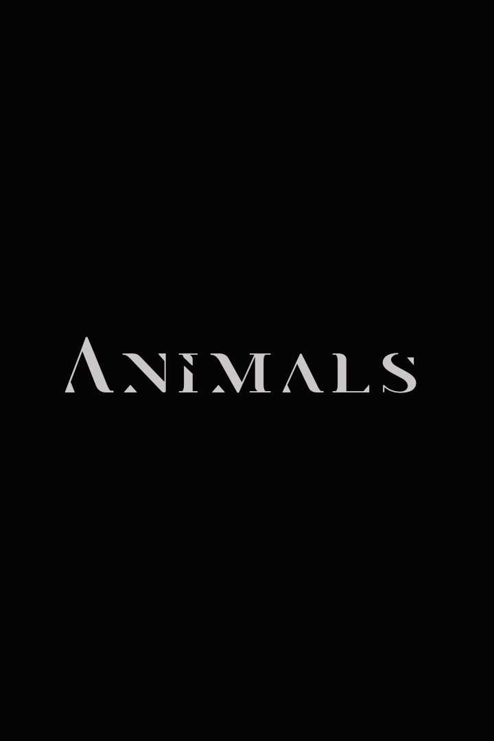 Animals 2025 Temp logo movie poster