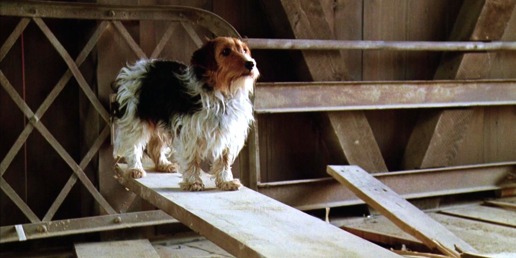 El perro parado sobre la tabla de madera en el puente en la escena de la muerte de Adam y Barbara de Beetlejuice