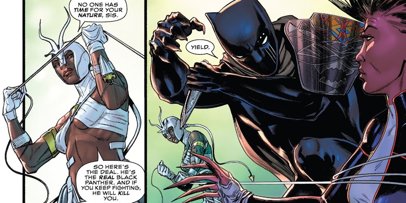 panels from Black Panther #8, Beisa stops the Monet St. Croix vs Black Panther fight