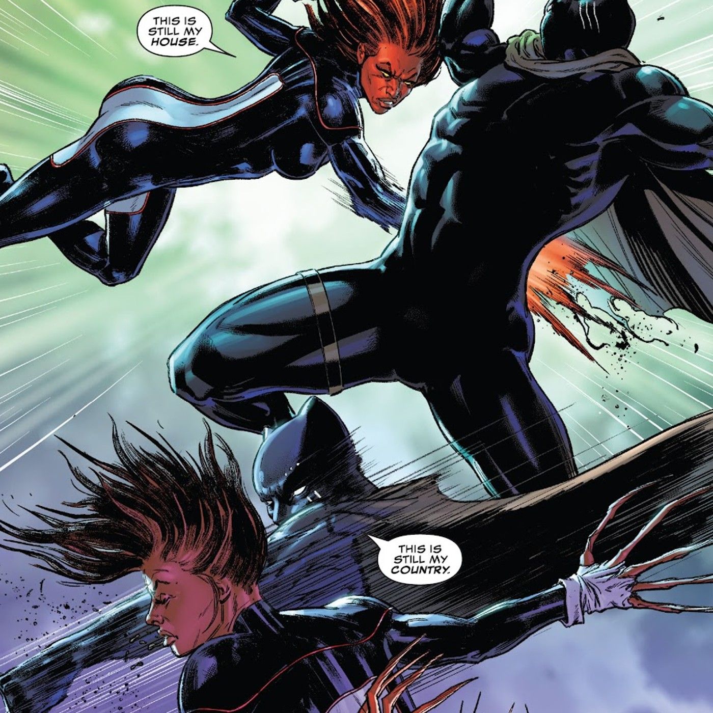 panels from Black Panther #8, Black Panther and Monet St. Croix trade blows