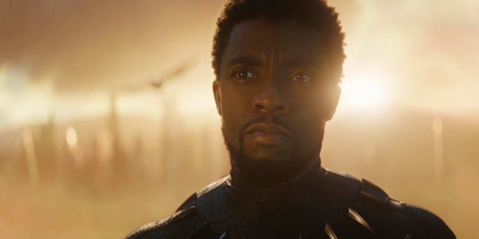 When Will Black Panther Return In The MCU? Here's Every Possibility