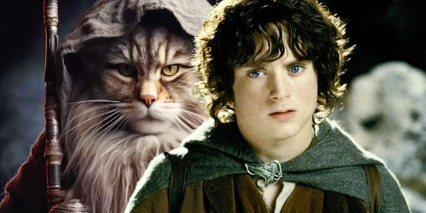 Elijah Wood as Frodo in the Lord of the Rings juxtaposed with Gandalf imagined as a cat