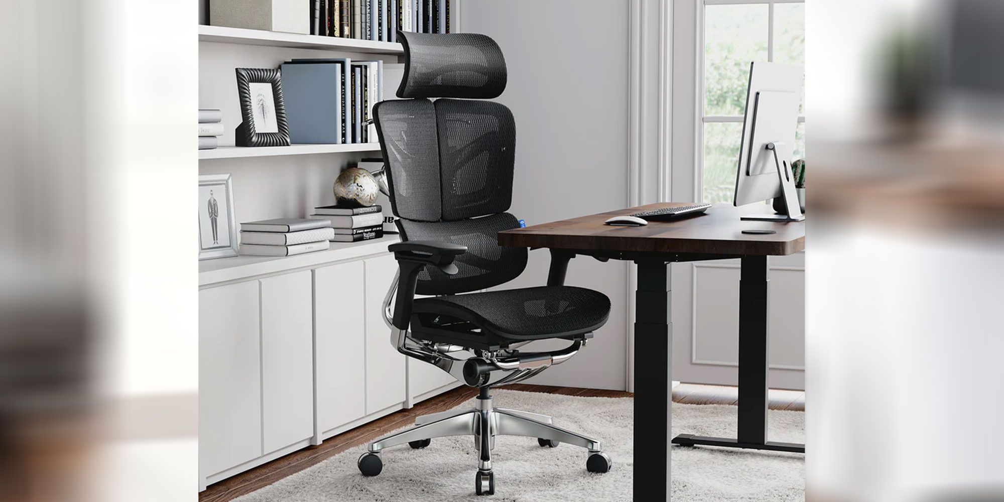 Ergo Butterfly chair in an office with a bookshelf and desk. 