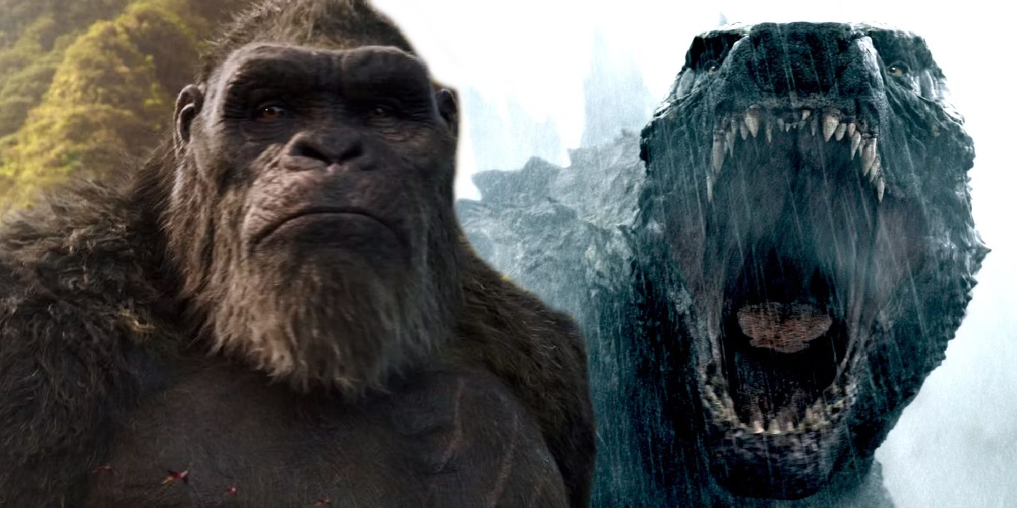 Kong looking stoic and Godzilla roaring in the Monsterverse