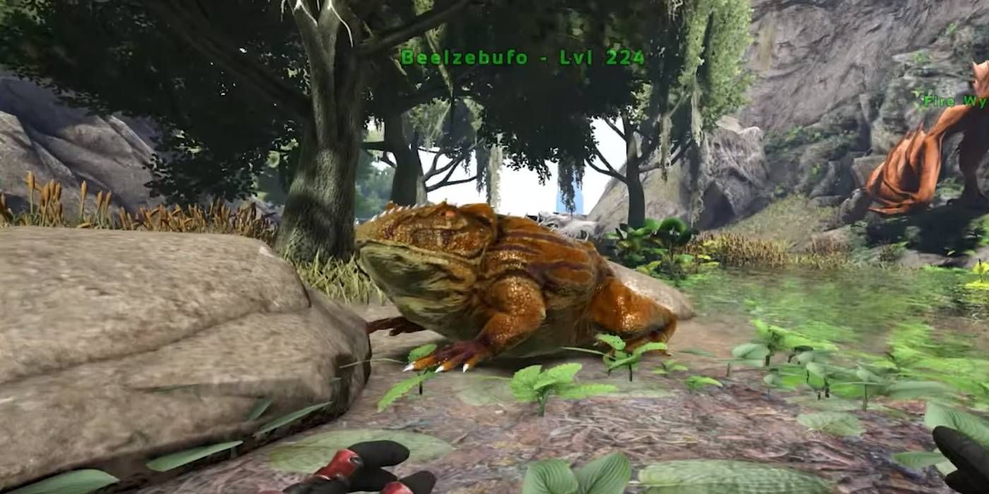 Ark: Survival Ascended Approaching a Beelzebufo Frog creature to tame as a possible mount