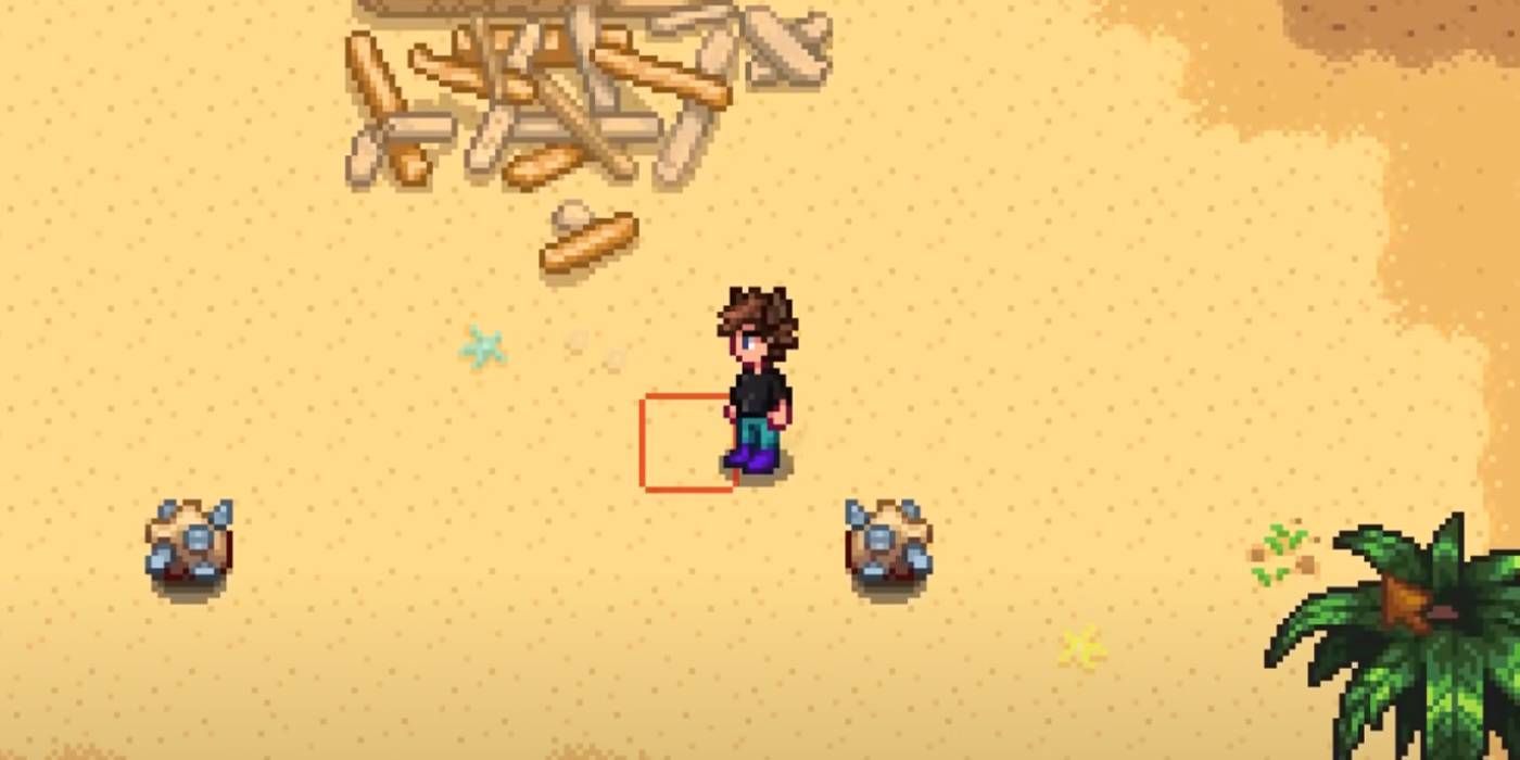 Stardew Valley Searching on a Beach in West Ginger Island for Rare Golden Walnut Items