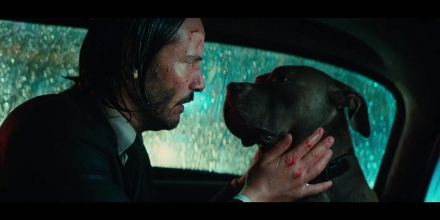 Keanu Reeves as John Wick consoles the Unnamed Dog in John Wick: Chapter 3 - Parabellum's intro.