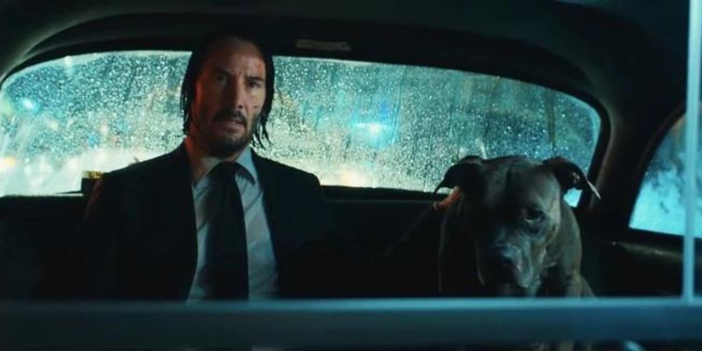 Una popular teoría de John Wick fue desacreditada por una bailarina después de 5 años