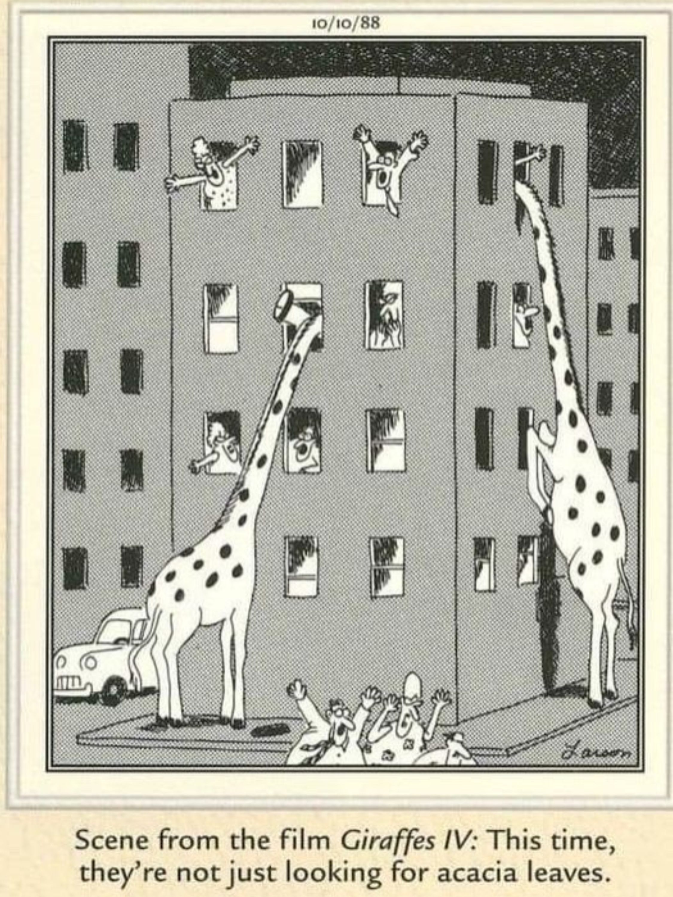 Far Side Giraffe