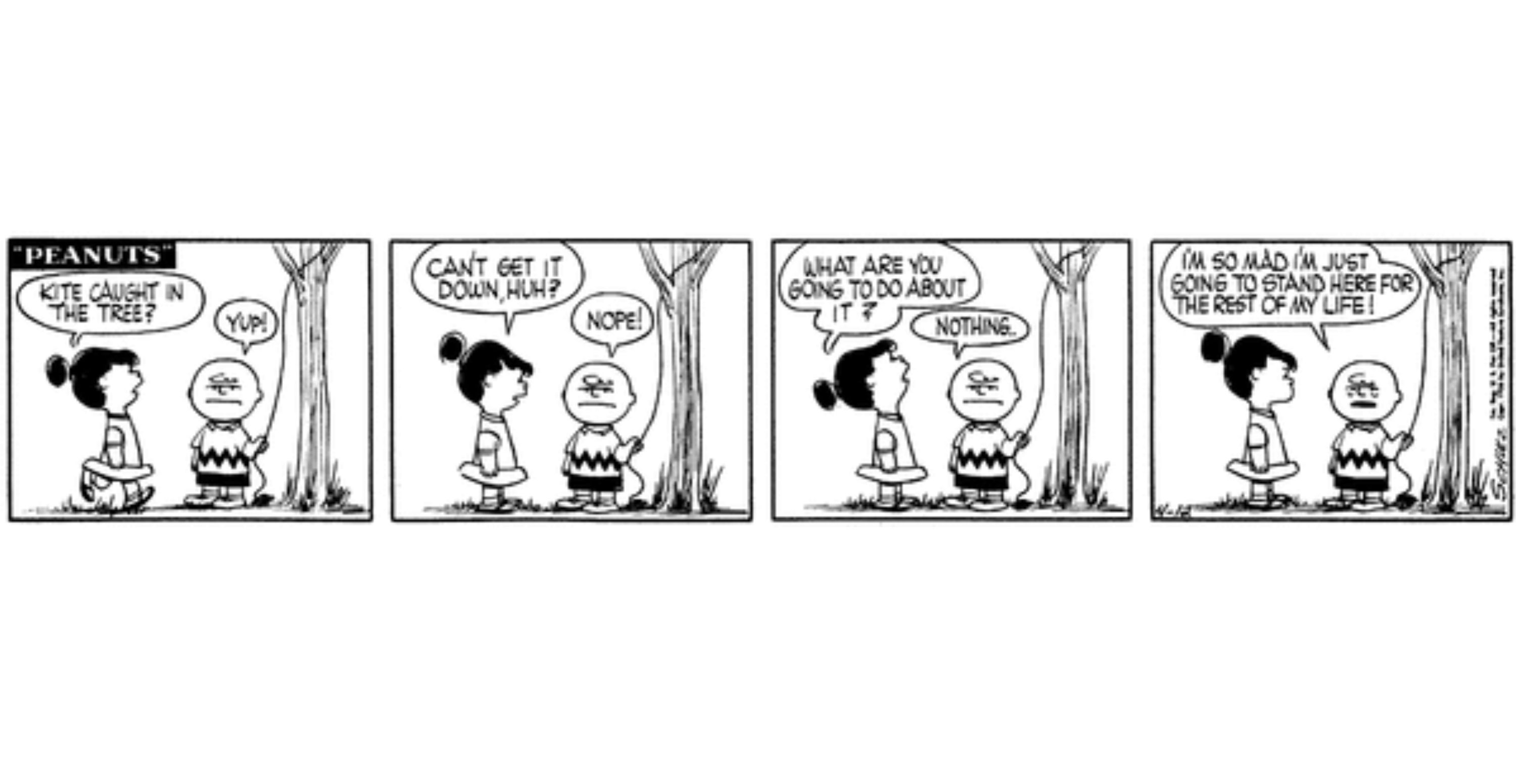 Lucy and Charlie Brown with the kite eating tree in Peanuts.