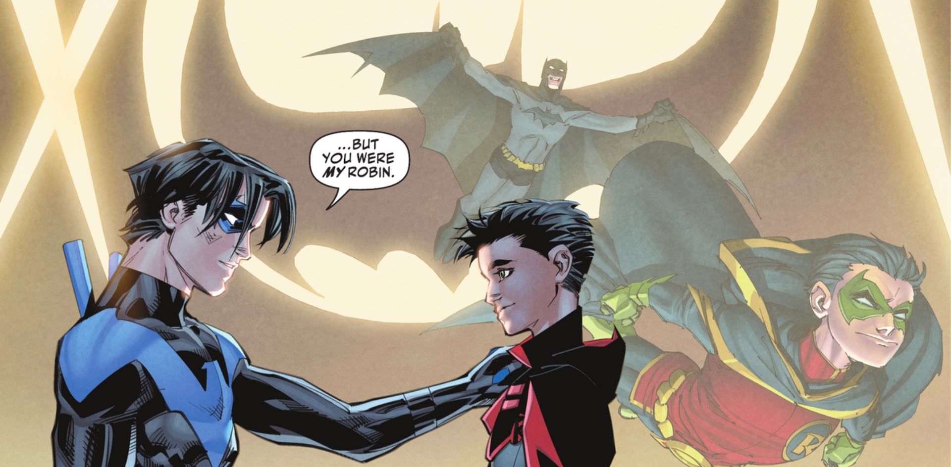 Nightwing You Were My Robin DC
