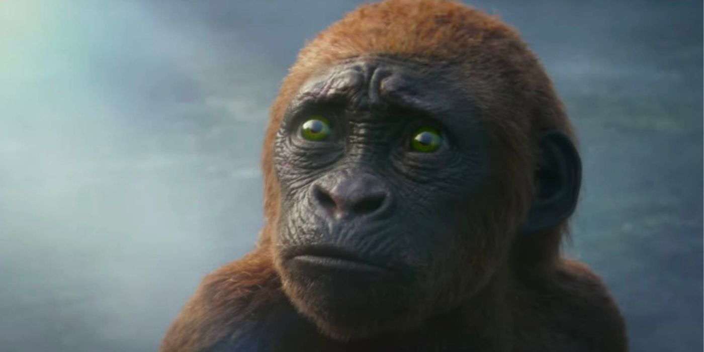 Baby Kong from Godzilla x Kong: The New Empire