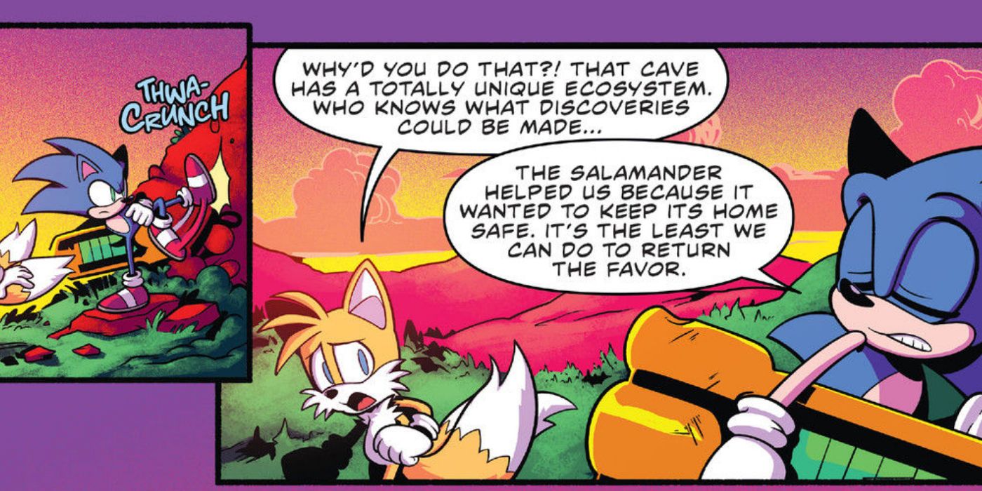 Sonic protects giant salamander instead of Tails