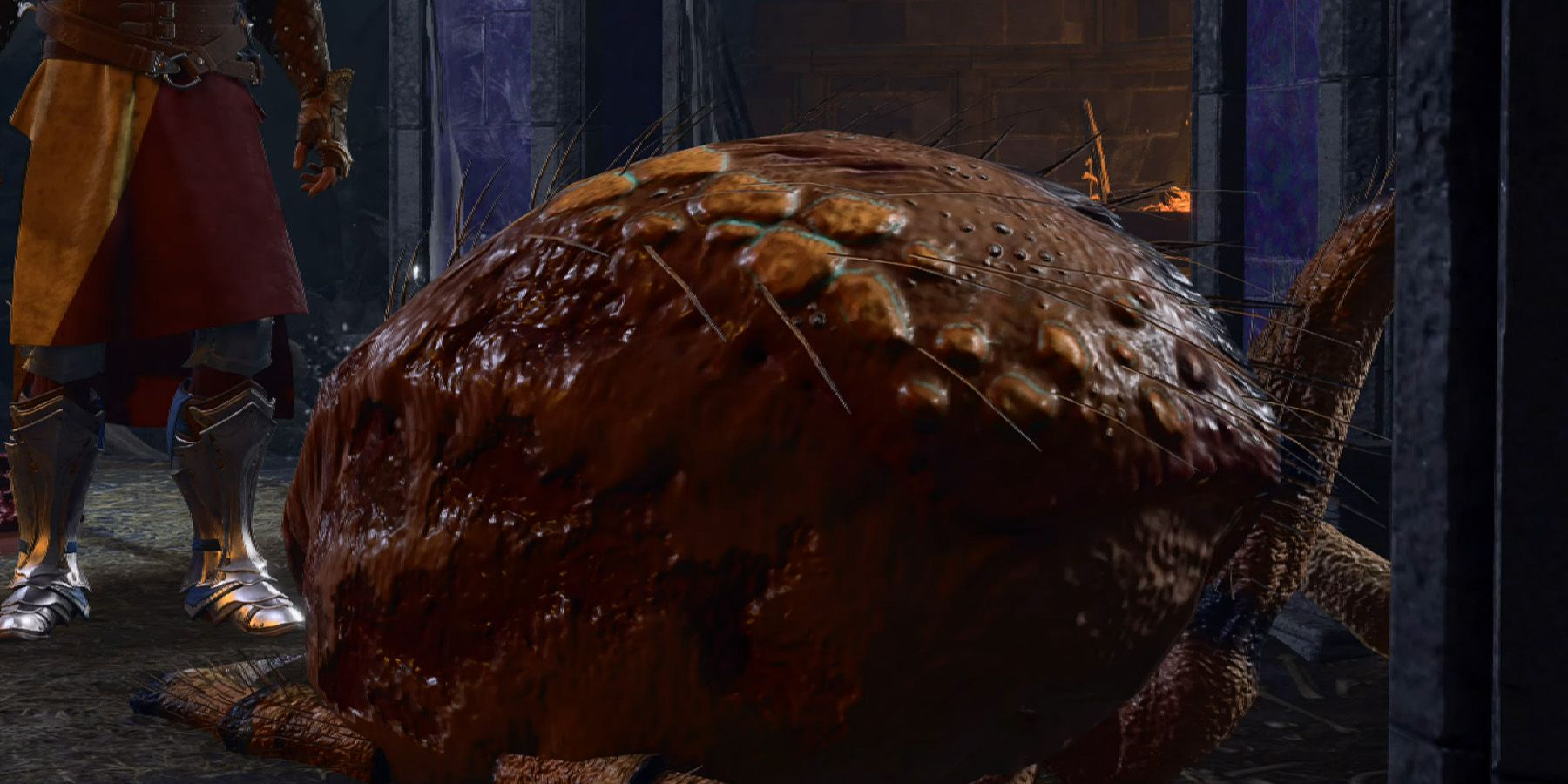A hunk of spider meat in the mausoleum in Baldur’s Gate 3.