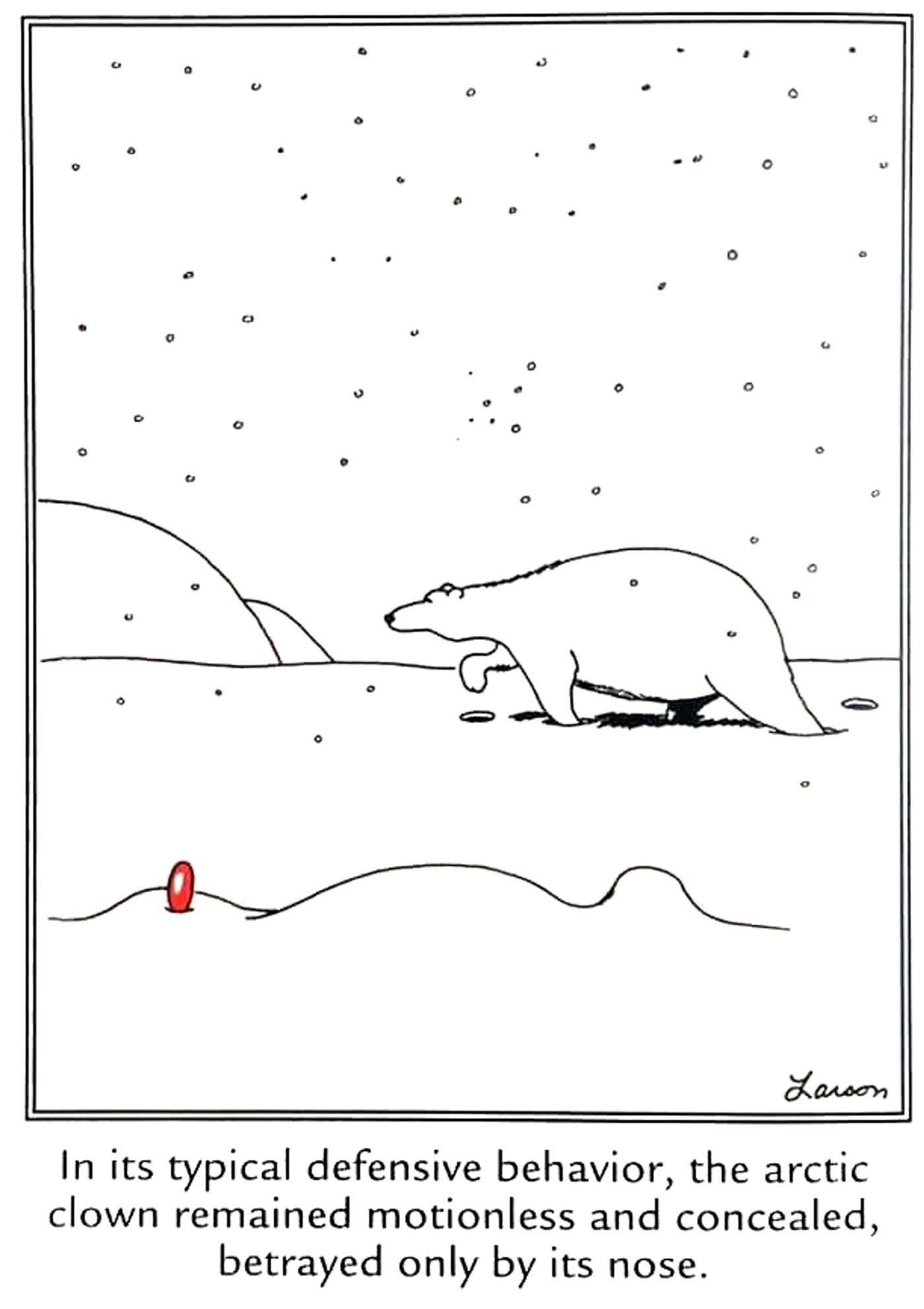the far side an arctic clown hides from a polar bear, red nose extruding from the snow
