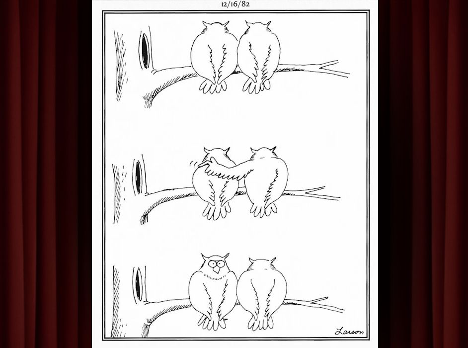 The Far Side Cartoon One Owl Playing Prank Tapping Other’s Shoulder