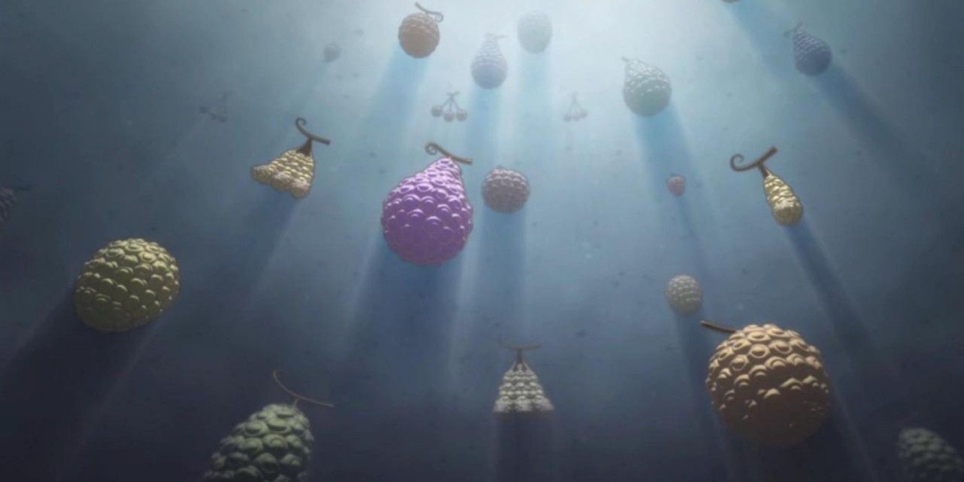 The various Devil Fruits in One Piece