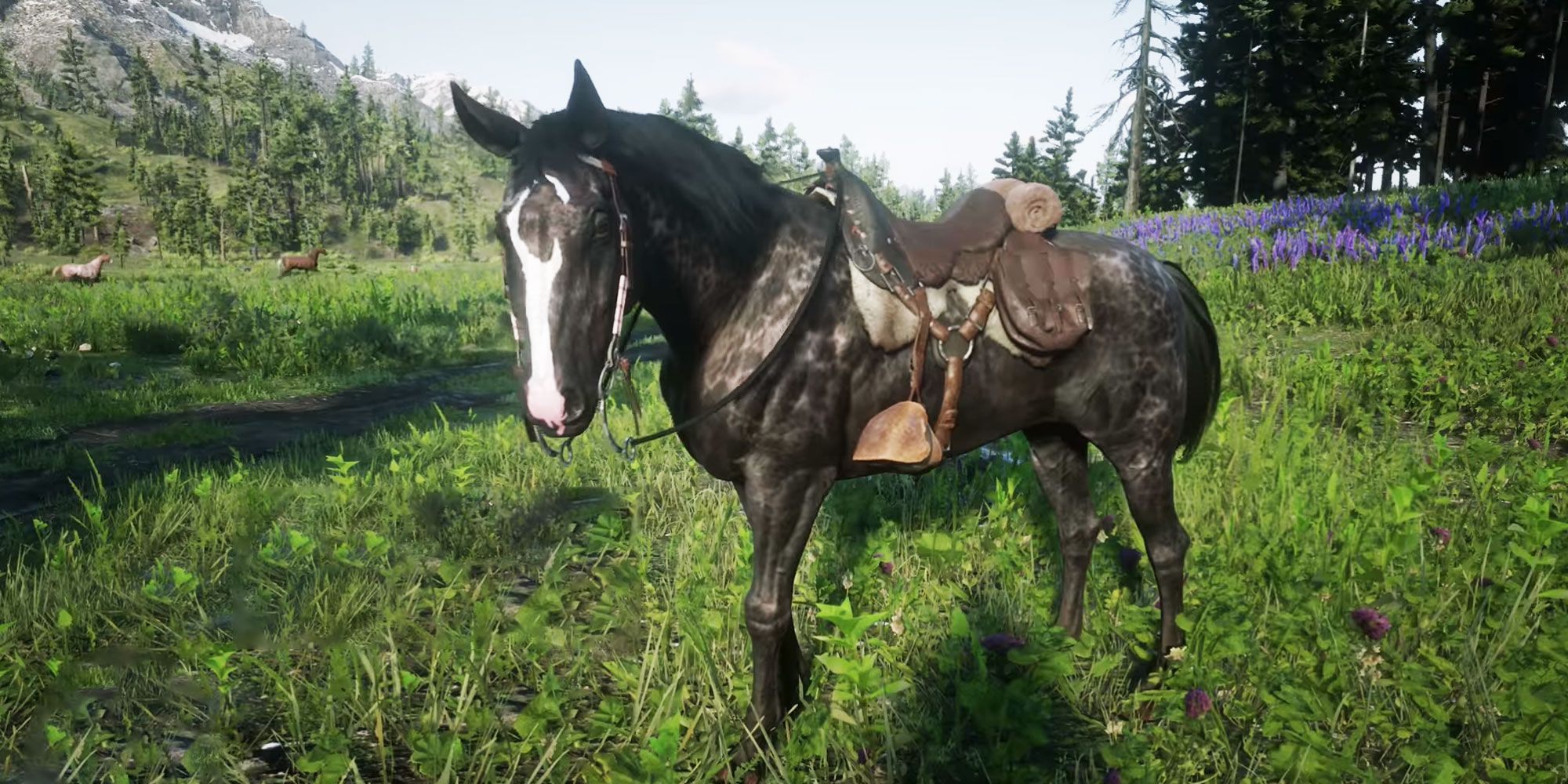 Rdr2 Horse Differences - Infoupdate.org