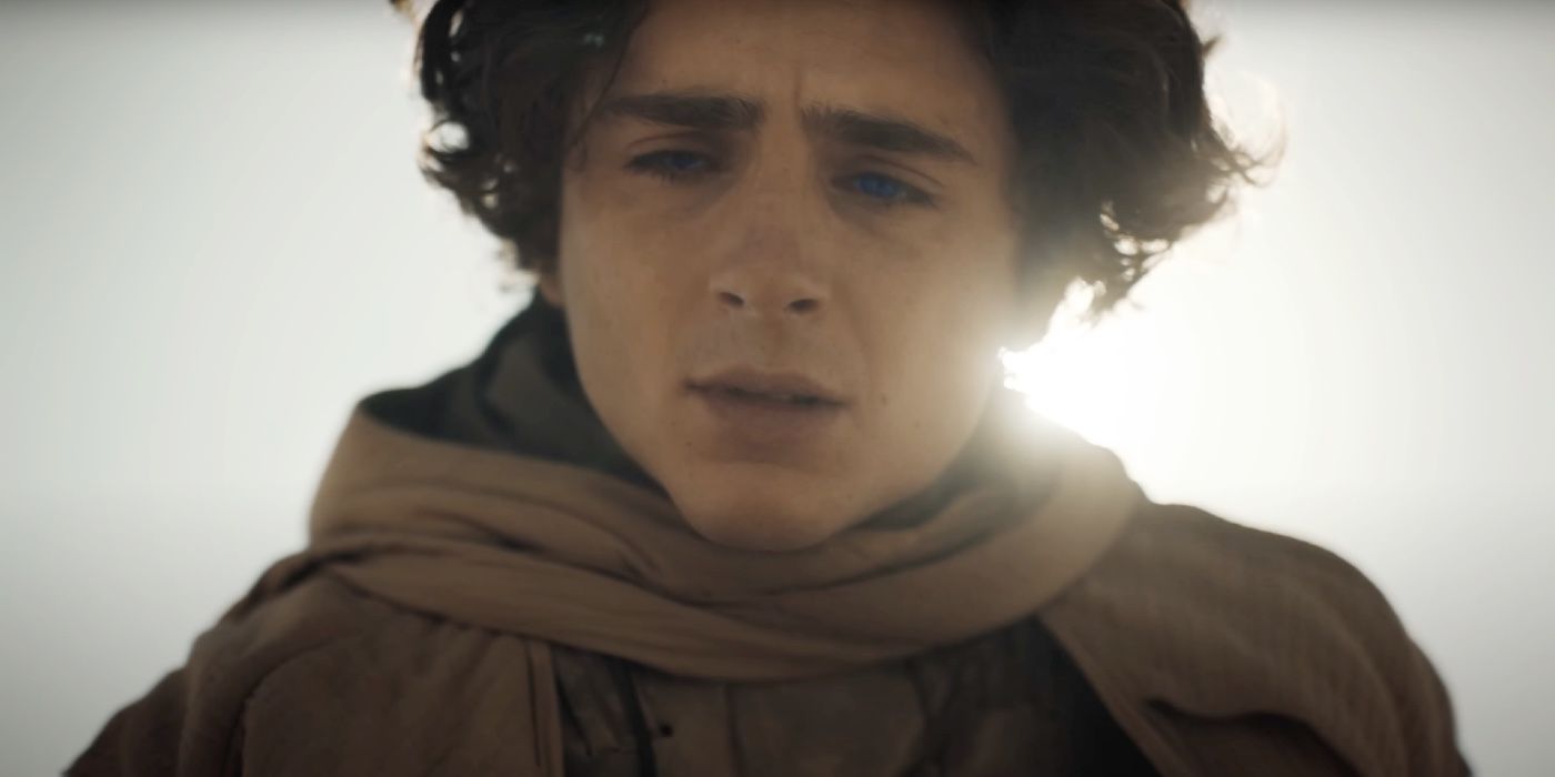 Timothée Chalamet as Paul Atreides looking down with the sun high above him in Dune: Part Two