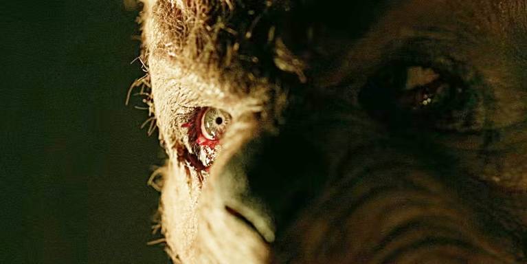 Winnie-the-Pooh:Blood and Honey 2