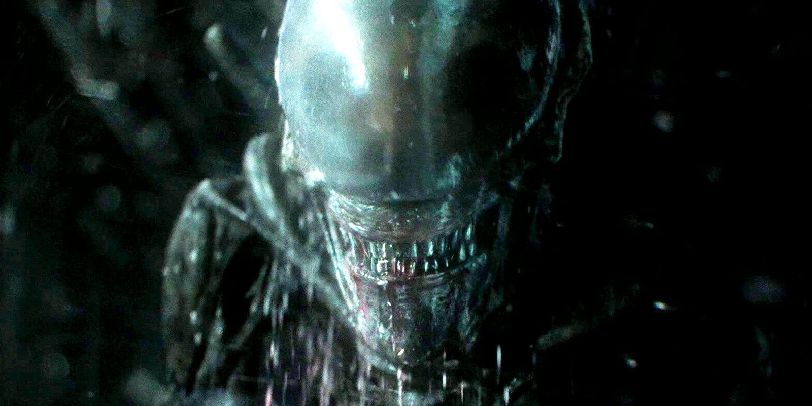 Xenomorph showing its teeth in Alien Covenant