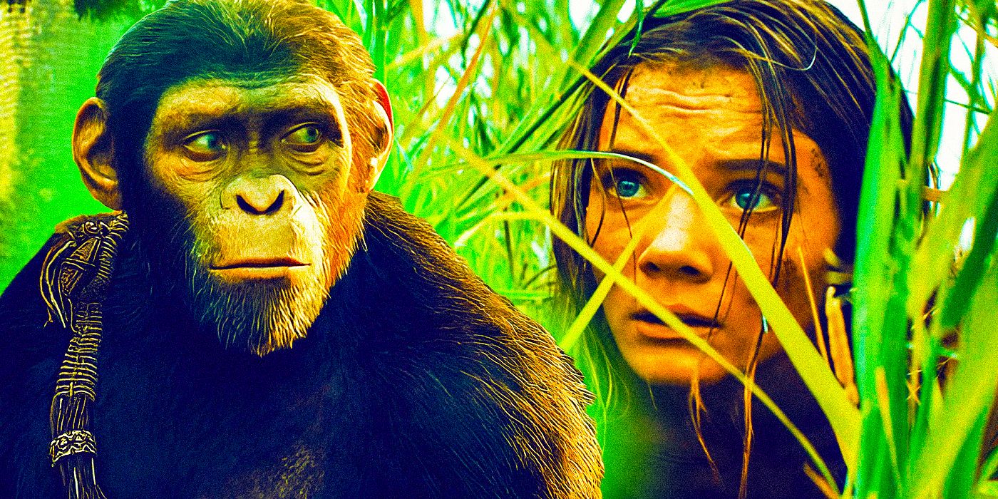 What Is Kingdom Of The Planet Of The Apes?