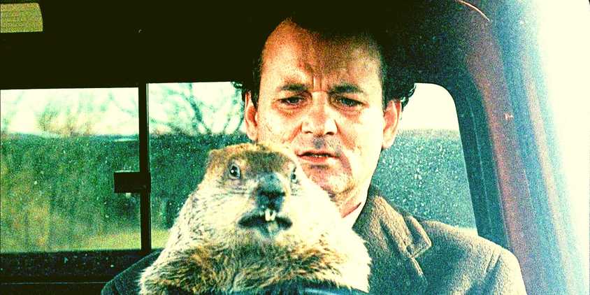 Phil (Bill Murray) looks confused while holding a groundhog in the driver's seat of a car in Groundhog Day.
