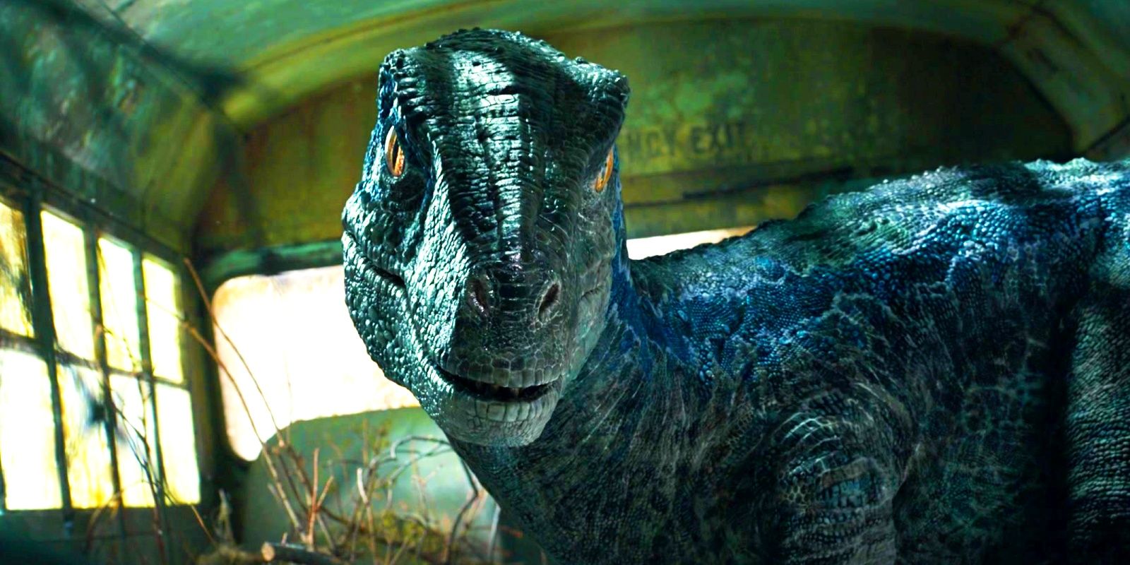 Jurassic World 4 Filming Start Date Reportedly Revealed As Sequel Races To  2025 Release Date
