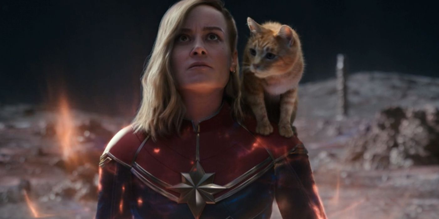 Brie Larson's Captain Marvel and Goose in The Marvels