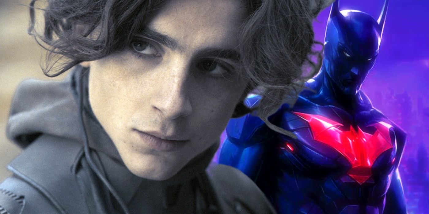 DC Just Made Everyone’s Favorite Timothée Chalamet Fan-Casting More Likely